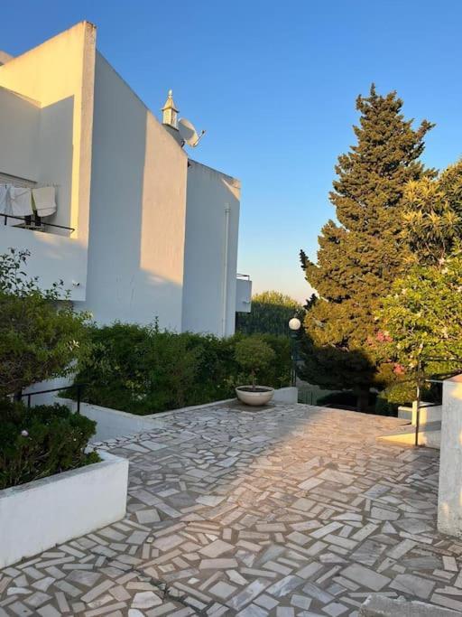 Casa Oliveira - Algarve Apartment ปอร์เชส ภายนอก รูปภาพ