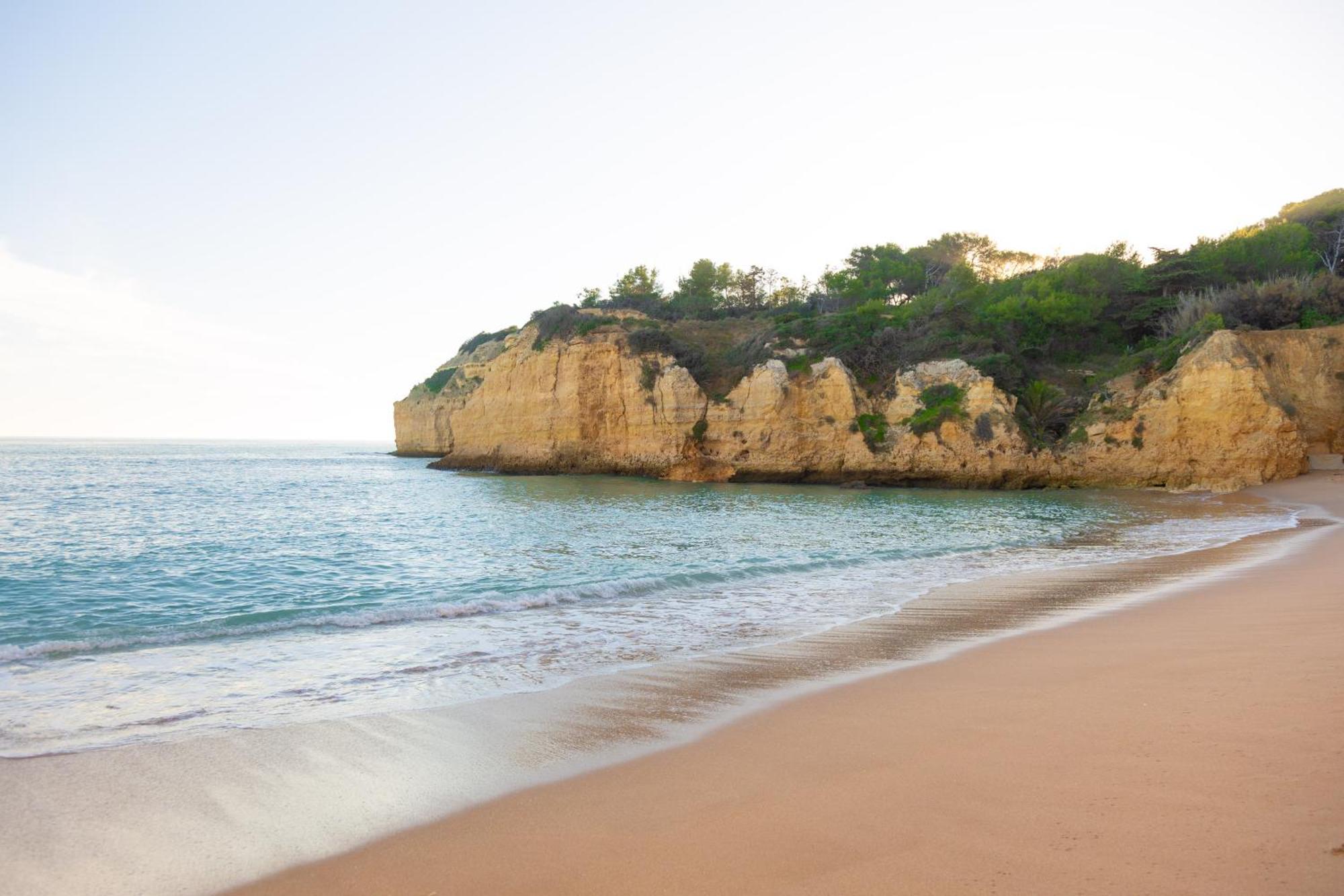 Casa Oliveira - Algarve Apartment ปอร์เชส ภายนอก รูปภาพ