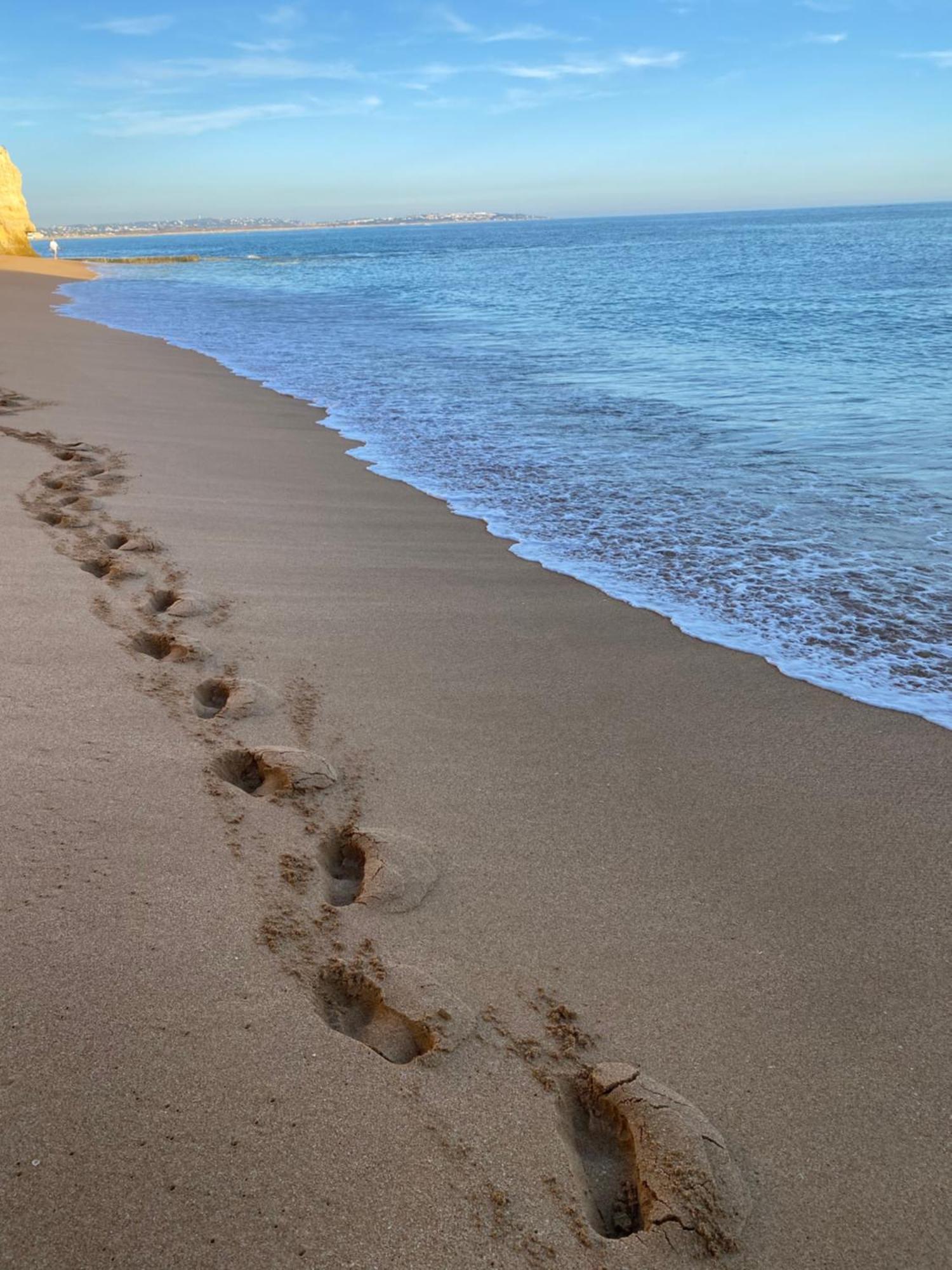 Casa Oliveira - Algarve Apartment ปอร์เชส ภายนอก รูปภาพ