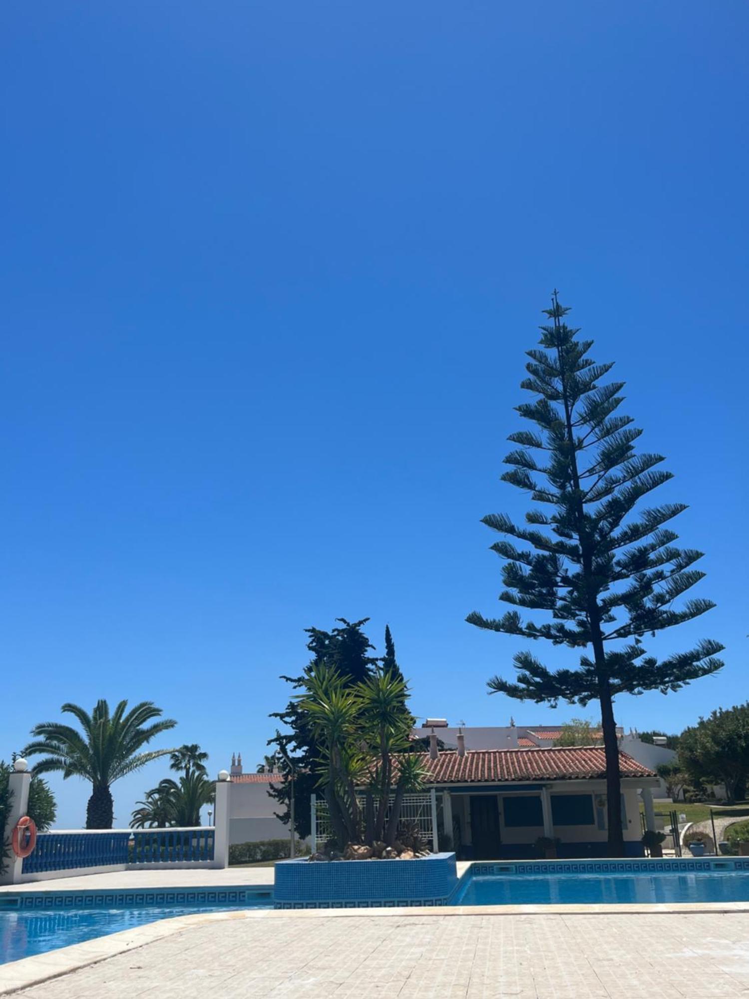 Casa Oliveira - Algarve Apartment ปอร์เชส ภายนอก รูปภาพ